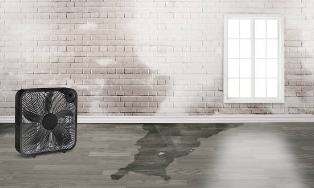 Best Carpet water damage restoration  in Fairdale, PA